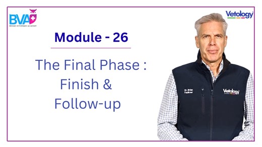 Module 26 - The Final Phase : Finish and Follow-Up