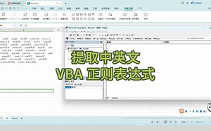 vba 正则表达式 提取中英文
