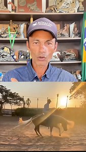 145K views · 245 reactions | Este é o Curso Completo de Treinamento de manobras de Provas, vamos ver todo o passo a passo de treinar as diferentes manobras até o nível de Competição. Quer saber mais ??? Me mande uma mensagem no direct e te explico os detalhes | Ronaldo Rédeas Ranch | Facebook