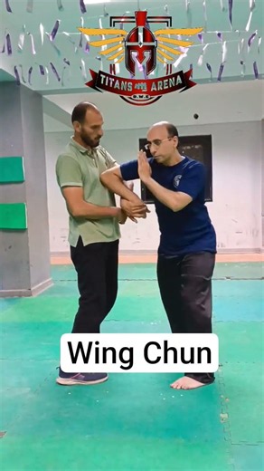 وينج تشون wing chun