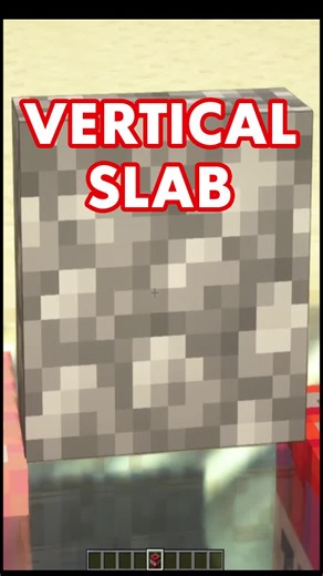 Understanding Vertical Slabs in Minecraft