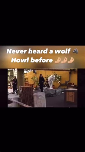 Good Luck on Instagram: "So majestic ✨"