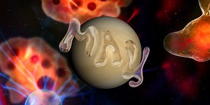 Moons Signs: All You Need To Know | Cosmo 'Scopes