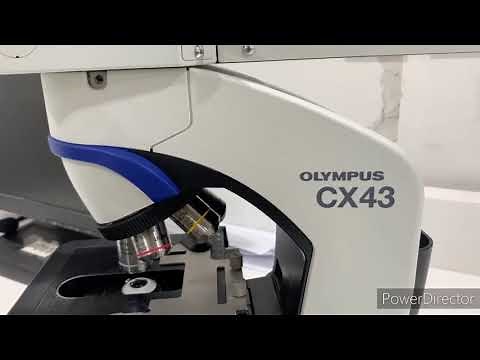 OLYMPUS CX43 Microscope Detail Review