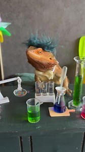 If you've witnessed the chaotic Willy Wonka experience in Glasgow, Scotland, you'll understand why this is absolutely hilarious. #willywonka #glasgow #oompaloompa #wonkaexperience | Valerie Musser