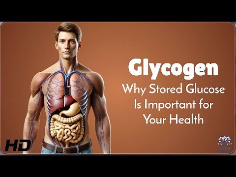 Glycogen Explained: The Energy Booster Your Body Relies On!