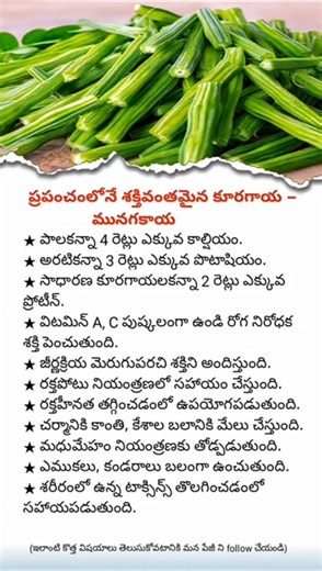 Amazing Health Benefits of Drumstick (Moringa) | Why You Should Eat It Regularly!