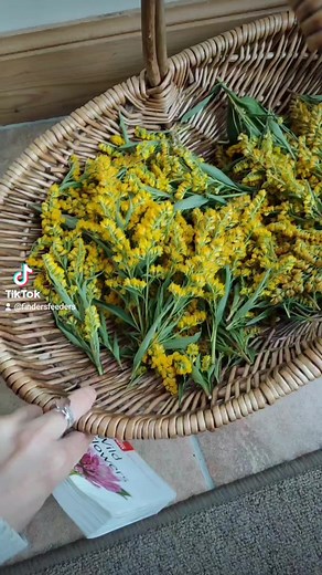 Goldenrod Syrup #syrup #honey #flowers #cooking #foraging #findersfeeders | Finders Feeders