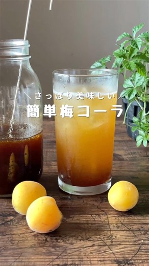 [Ready in a Day] Easy Plum Cola