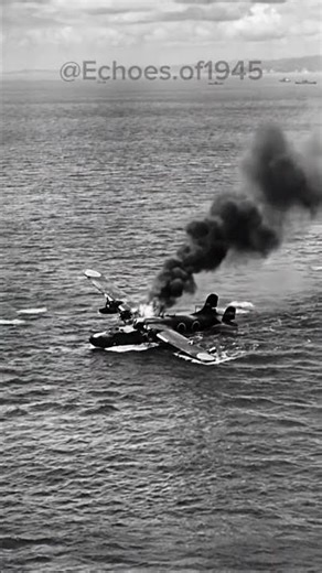 WWII Naval History: Rare Archive of a Crashed Aircraft