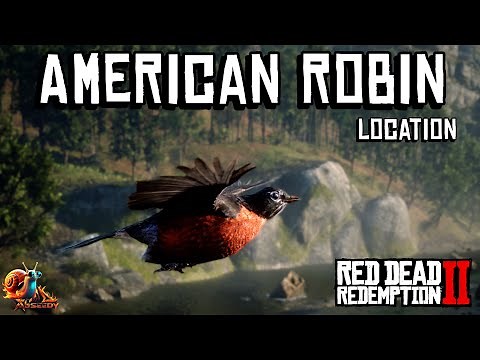 American Robin Location - Red Dead Redemption 2