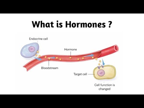 What is Hormones ?
