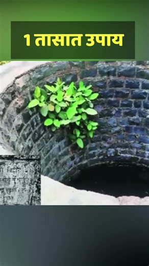 👉 “बांधावरील झाडांमुळे नुकसान? हा उपाय करा!”