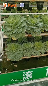 72K views · 1.3K reactions | These new technologies make farming much easier in China. | Trending in China | Facebook