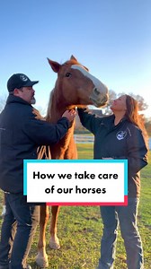 Life at The Gentle Barn: Rescued Horses Sanctuary in New York