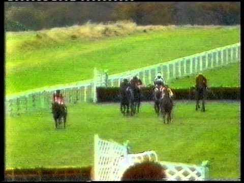 1980 Bellway Fighting Fifth Hurdle