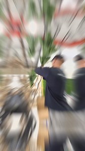 5.5K views · 16 comments | BEHIND THE SCENES of how we created this Custom Fiddle Leaf Ficus tree  #design #plantlover #theplantguy #trendingdecor #designer #decor #transformation #inspo #realistic #tree #elegant #modern #custom #plants | The Plant Guy | Facebook