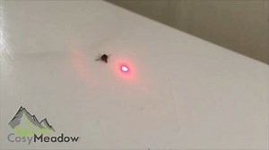 Watch CosyMeadow Bug Salt Gun Laser on Amazon Live