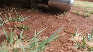 🤪🤪🤪🤪#StanceNation #StanceWorks #StancedCars #Fitment #LowAndSlow #CamberGang #Static #SlammedSociety #Flush #AirSuspension #StanceNationJP #AggressiveFitment #Cambered #StanceNationEurope #Fitted #StanceWars #StanceLife #StanceCulture #StanceAddict #StanceFam | Iconic Faces