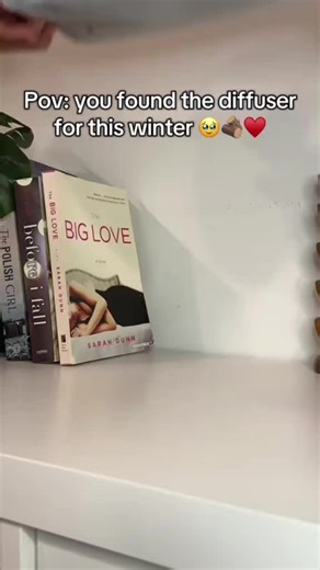 omg thats the best humidifier I have ever gotten #humidifier #fireplacehumidifier