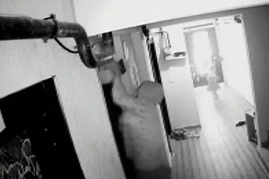 Mum’s horror as baby is crushed by lift after elevator moves before doors close