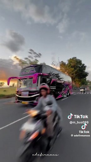 fans bus mania on TikTok