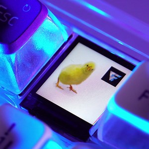 Su Tío Game Factor está en búsqueda del GIF más creativo para personalizar su KBG800 ⌨️ ¿lo tienes? Entra aquí: https://gamefactor.mx/personaliza-tu-teclado-KBG800/ y sube un GIF creado por ti. ⚠️ Cada viernes vamos a elegir el "GIF de la semana" que ganará un increíble Kit Game Factor. Los mejores 4 GIFS participarán por un teclado KBG800. 🚨 La temática del GIF es libre, usa tu creatividad e imaginación. Importante consultar las bases aquí: https://bit.ly/3VQY8wd | Game Factor