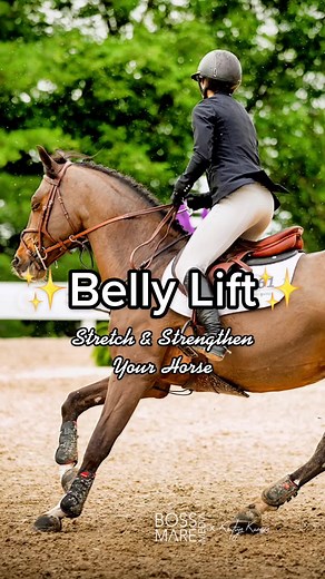 #equestriantips#equestrian#horses#horse#showjumping#horsesoftiktok#barnlife#stretch#equestrianstyle#equestrianlife
