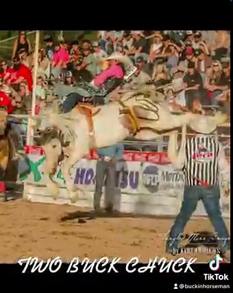 5.6K views · 304 reactions | TWO BUCK CHUCK is the definition of majestic! @americanhatco @cinchjeans @logancoachtrailers @buckinghorsebreedersassn #buckinhorseman #powderriverproud | Powder River Rodeo LLC | Facebook