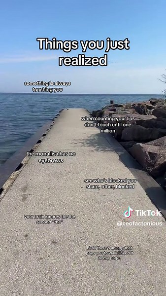 factonious (@ceofactonious)’s video of Mona Lisa