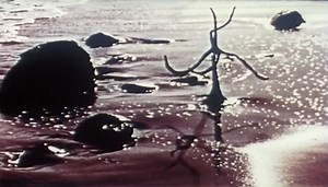 Works of Calder | Calder Foundation