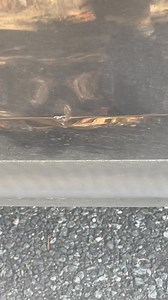 Andy Pridgeon on Reels