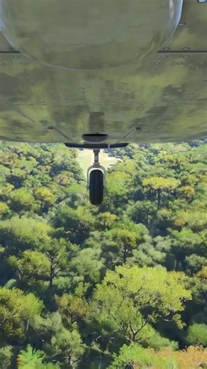 Close shave bush landing Selbang airstrip! #msfs2024 #aviation