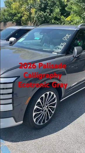 2026 Palisade Calligraphy Ecotronic Gray