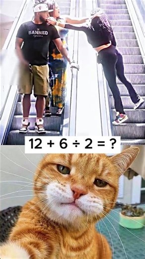 The cat is judging your math skills... 🐈😂 #shorts