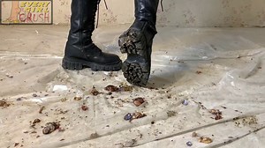 QZIQJR – Dawn Snail Challenge - EVERYGIRL CRUSH