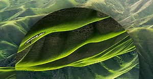 ESG reporting and disclosure | Deloitte Canada