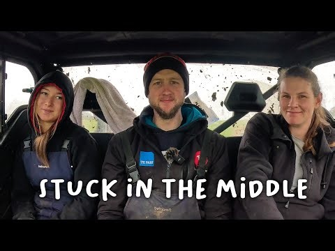 Problems and Solutions - Lambing Day 6