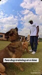 242 reactions | Dog training Kenya  #dogtraining #dogsofinstagram #dogtrainersofinstagram | Baxton DOG Training Academy | Facebook