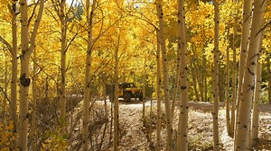 1.2K views · 58 reactions | Ever Drive Marshall Pass Near Salida,...