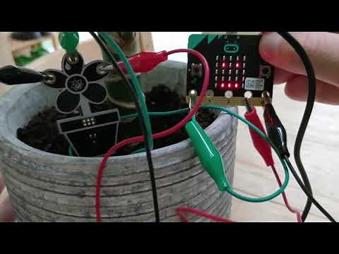 BBC Microbit plant water detector set up