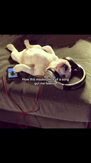 Experience 'Go, Cinderella!' and Its Musical Magic