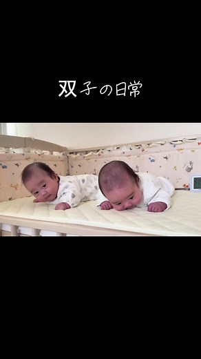 双子の日常: 可愛すぎる赤ちゃんのいる生活