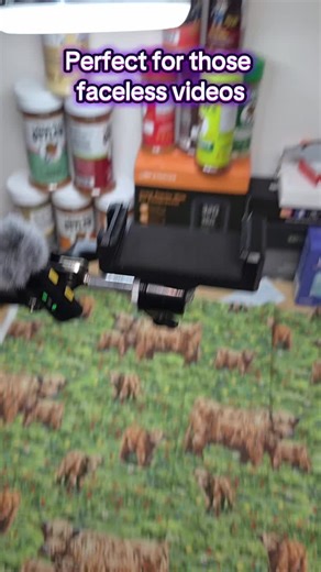 Adjustable Phone Arm with Built-In Ring Light