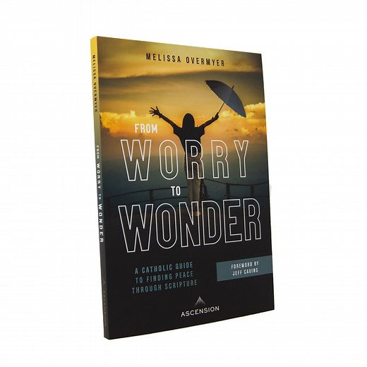 From Worry to Wonder: A Catholic Guide to Finding Peace Through Script