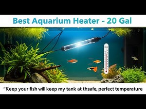 TOP 5 Best Aquarium Heater For 20 Gallon Tank 2026
