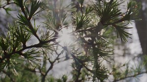 1K reactions · 8 comments | The Art of Dew - 2BR Sky Villas 﫧 Mỗi...