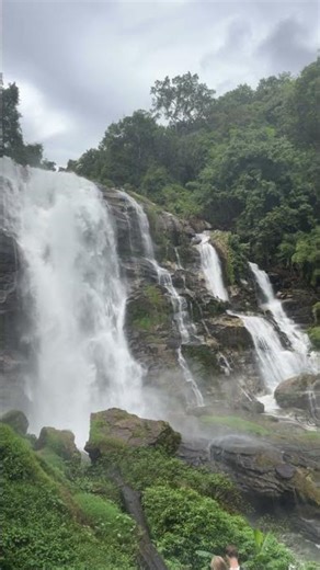 Instrumental Music for Project 🎧 | Relaxing Background Music | No Lyrics #ihavethisthingwithplants