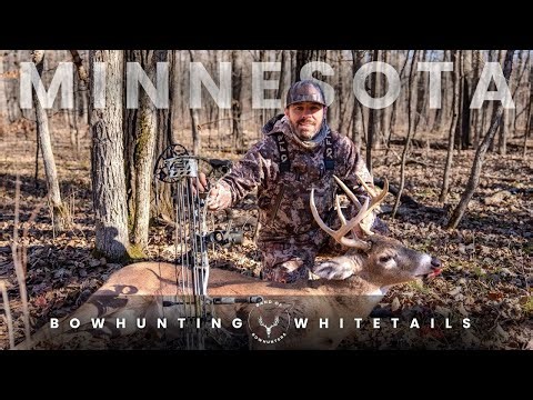 Bowhunting Whitetails in Minnesota | Self filmed | Public land