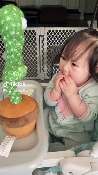 Dancing Cactus Toy for Kids | Fun and Interactive Plant Toy